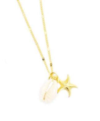 collier coquillage or